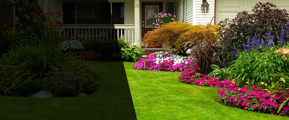 Dothan Landscapers