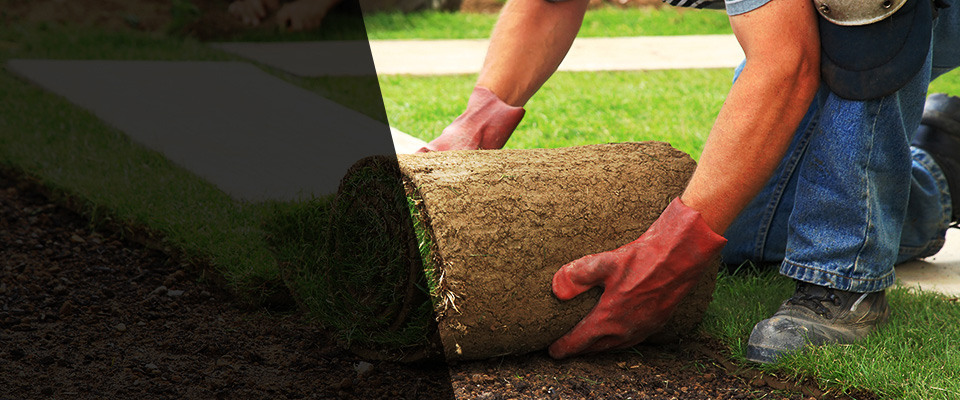 Dothan Landscapers
